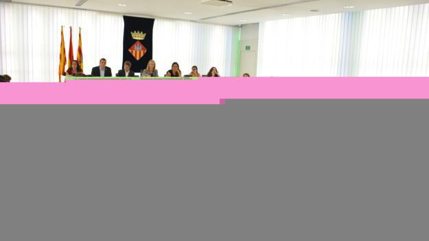 Tensió durant el punt de precs i preguntes del ple municipal