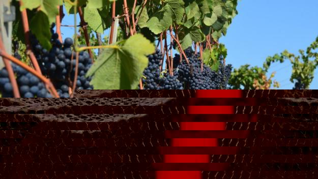 Productes 'made in Collserola'