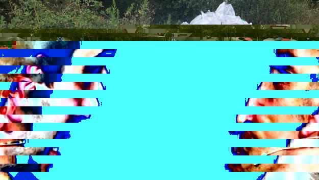 L'Ajuntament retira sis sacs d'amiant a l'entorn del Pi d'en Xandri