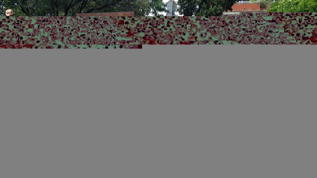 Què han dit els polítics a l'ofrena floral de la Diada?