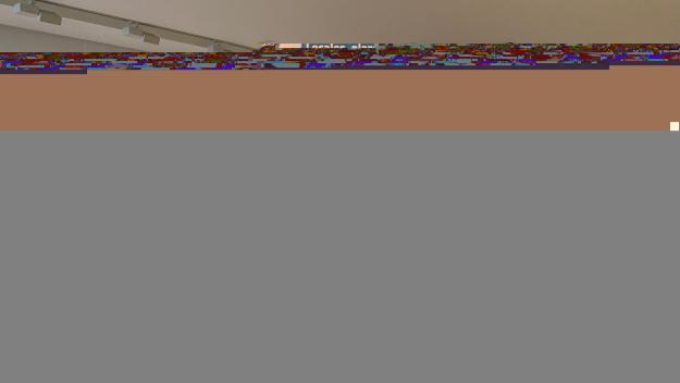 L'exposició 'La lliçó de Diògenes' pretén fer reflexionar sobre els excessos de la societat