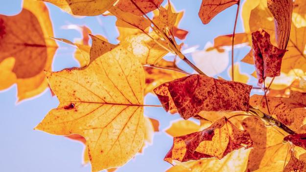 Per què tenim estacions de l'any?