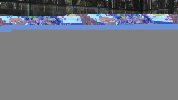 El torneig de pàdel solidari Rosaweek vol arribar a les 100 parelles