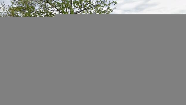 Nous talls de trànsit per la millora de l'asfalt a tres carrers de Mira-sol