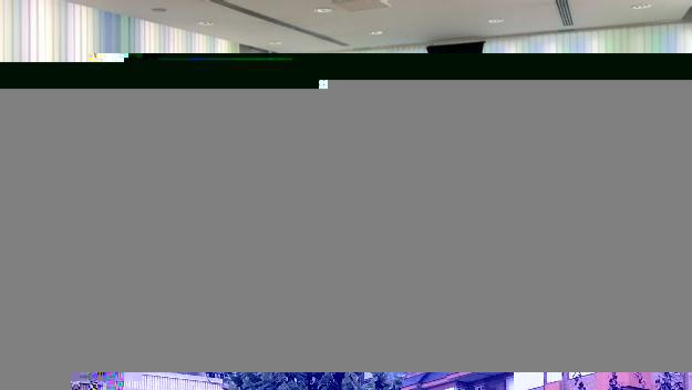 Les qüestions de país s'haurien de tractar als plens municipals?