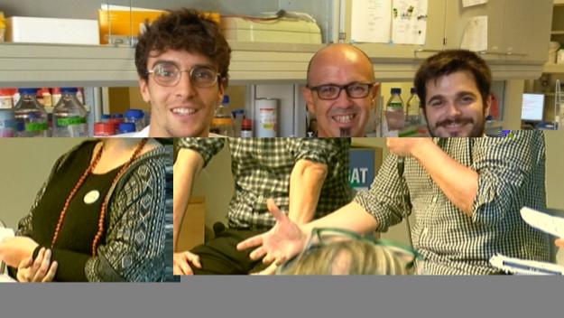 Synuclean-D, la molècula que podria aturar el Parkinson, busca finançament