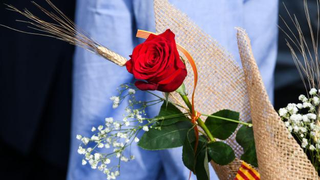 Descobreix totes les activitats que pots fer a Sant Cugat per celebrar Sant Jordi