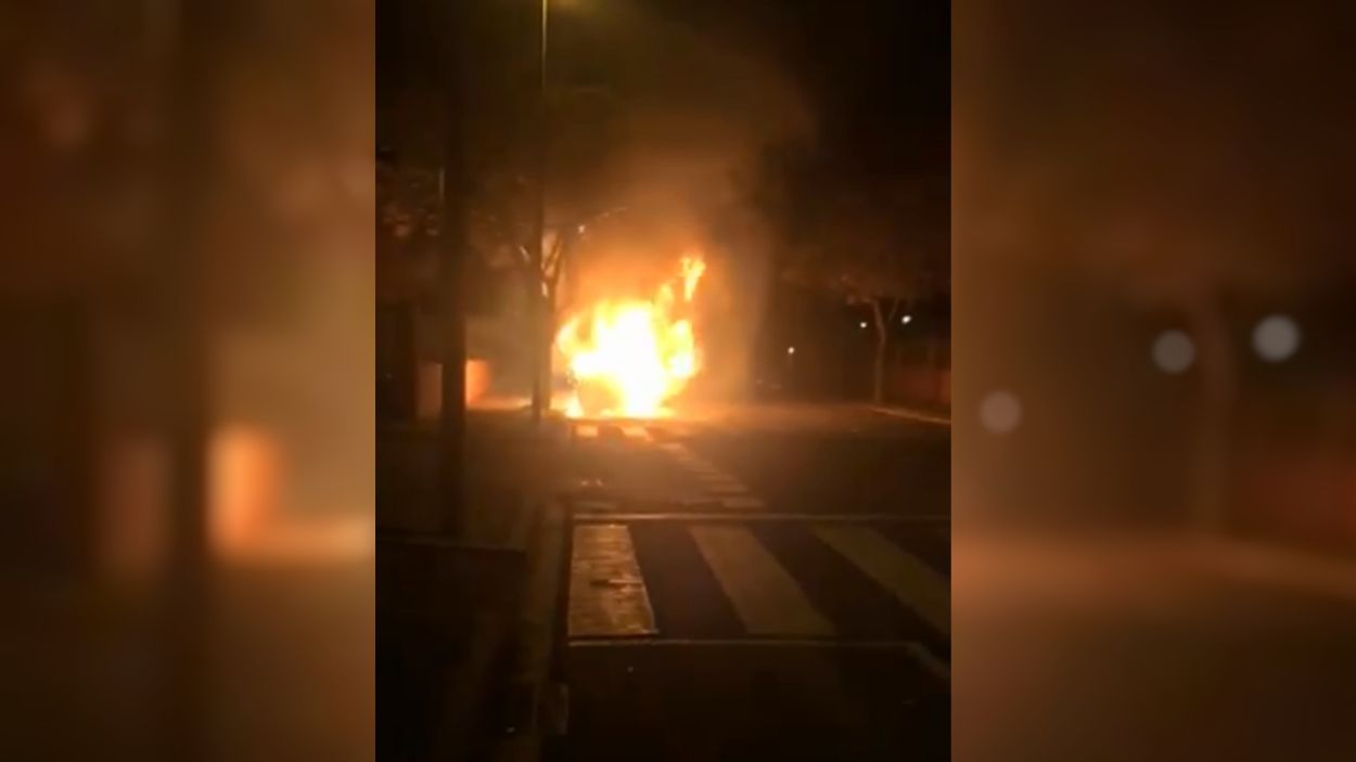 Cremen dos arbres i tres contenidors aquesta mantinada a Can Magí