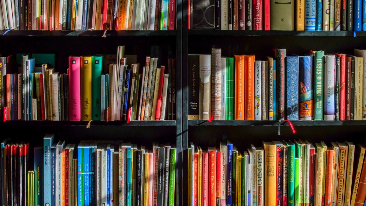 241028-llibres-a-cc0.jpg