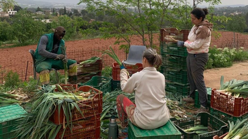 Alt: 'DeCollserola', la nova associació per potenciar el producte local