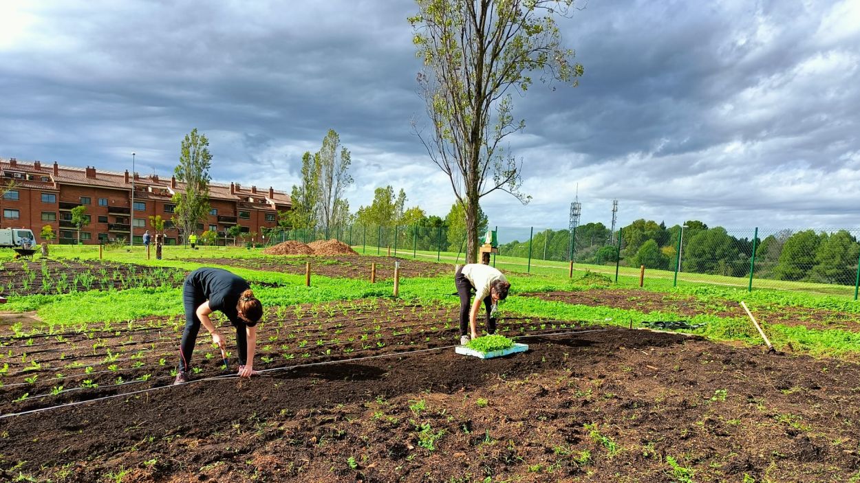 L'Horta Temerària: un projecte que cultiva sostenibilitat i vincles veïnals a Sant Cugat