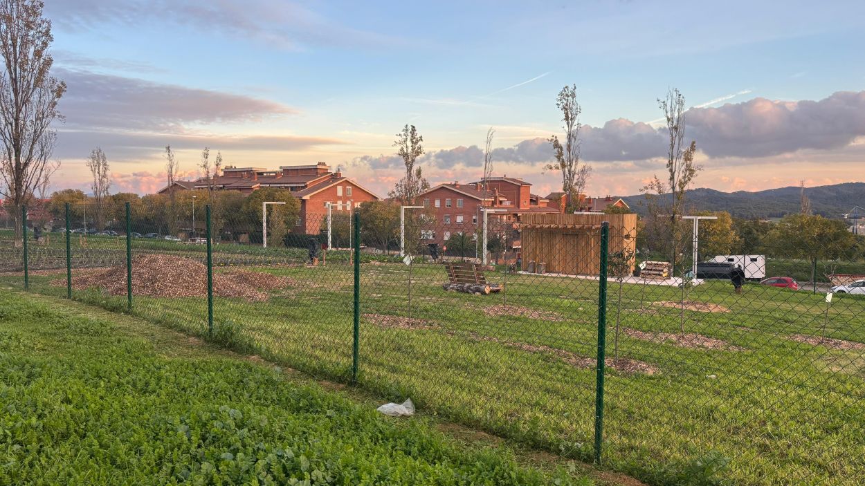 L'Ajuntament descarta l'hort urbà com a focus de les intoxicacions de gossos a Coll Favà
