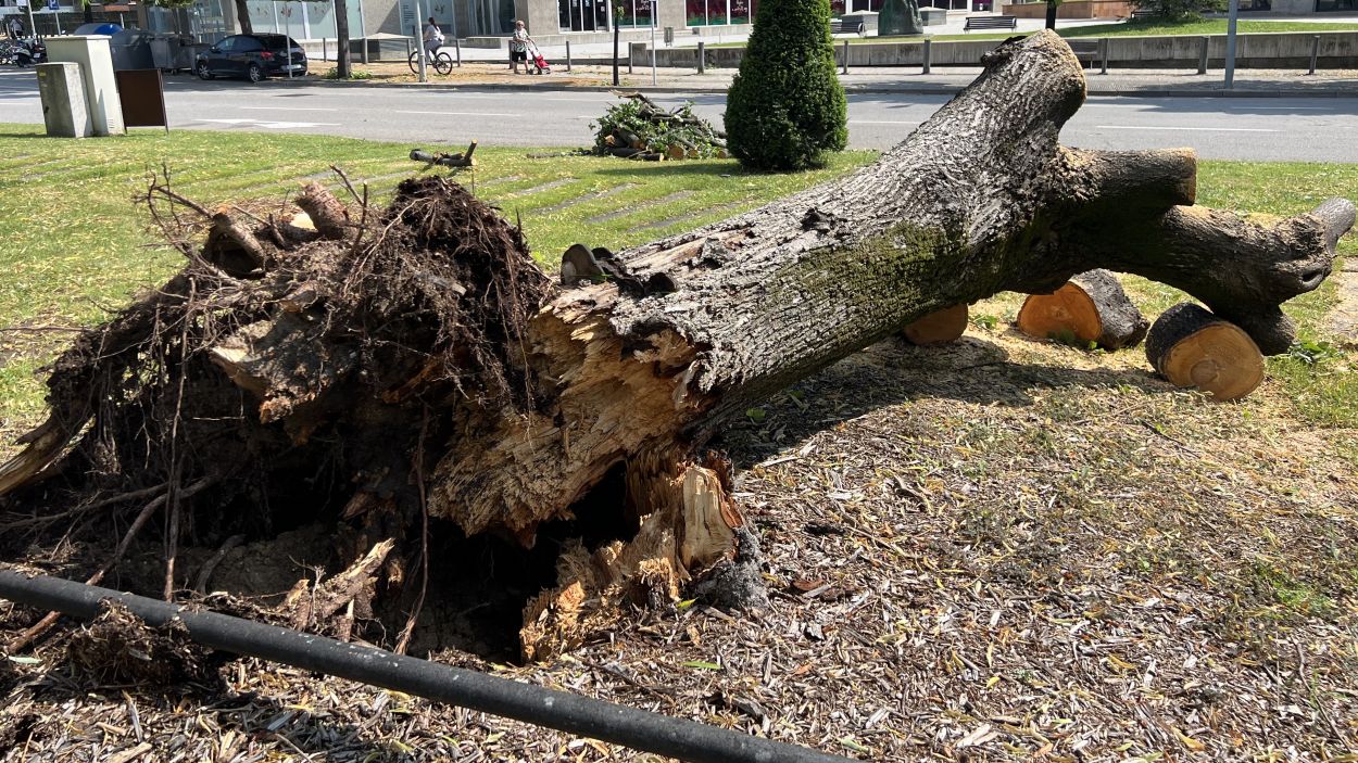 Activat un avís de perill de vent a Sant Cugat