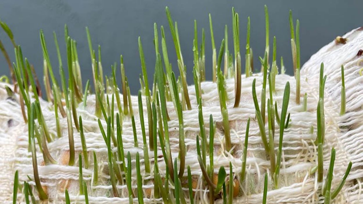 Art Sant Cugat: impuls a la creativitat i la cultura de proximitat a través de l'art contemporani