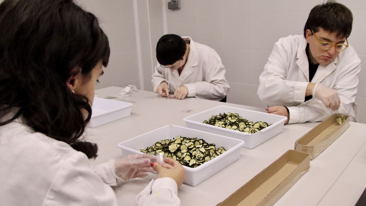 Sant Cugat Empresarial organitza una jornada per promoure la inclusió laboral i la contractació de talent divers