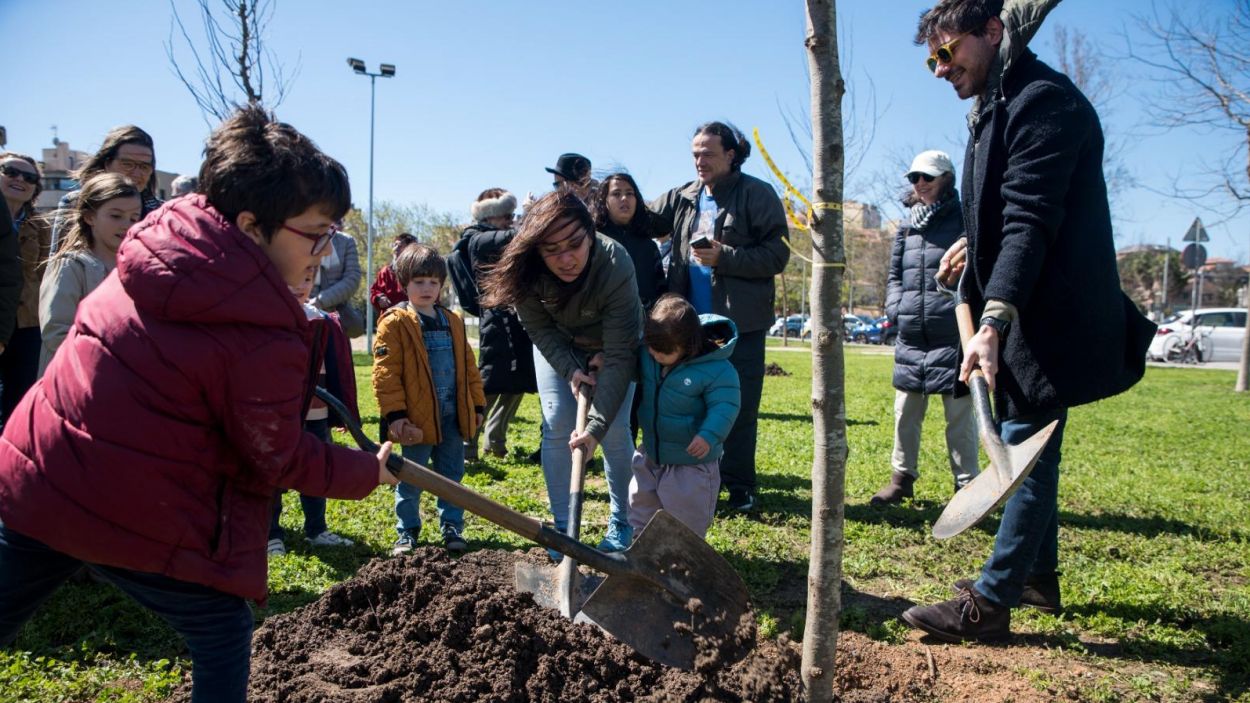 L'art, llavor d'una plantada d'arbres al parc de Can Vernet