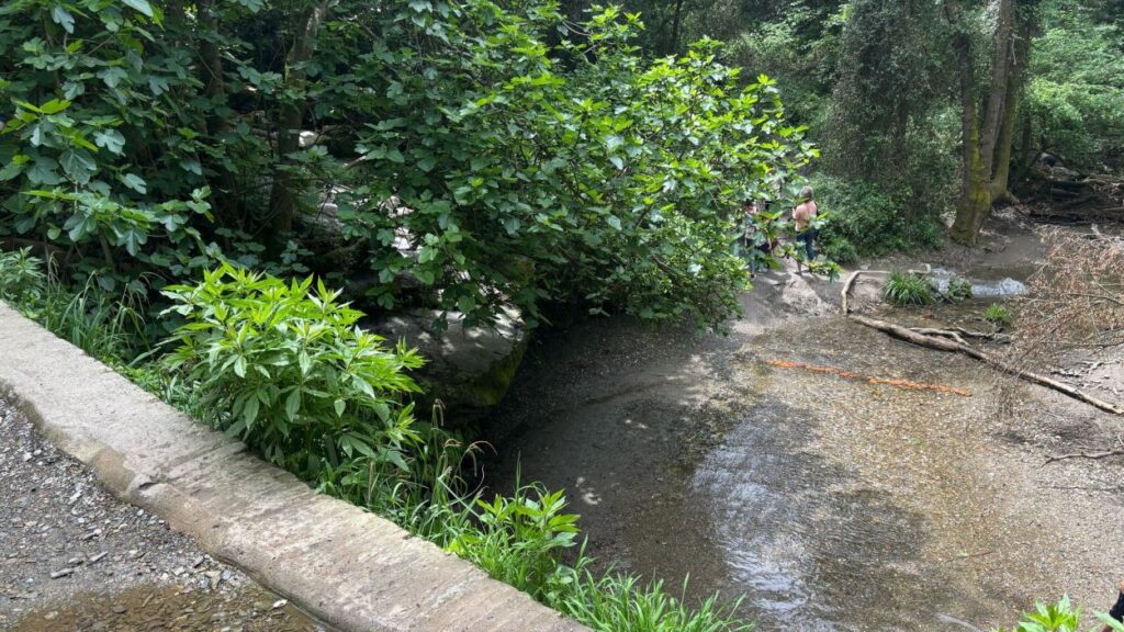 Alt: Banyar-se a la riera de Vallvidrera i portar el gos deslligat: accions prohibides a Collserola que es volen evitar