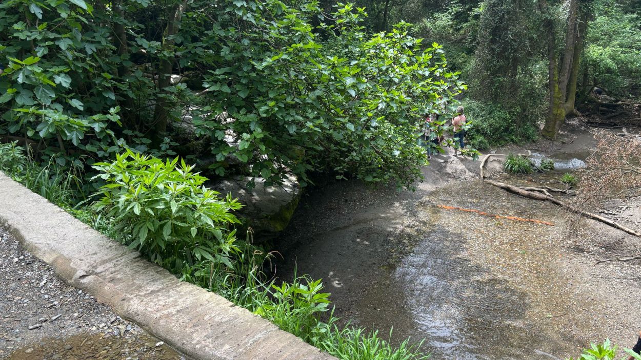 Banyar-se a la riera de Vallvidrera i portar el gos deslligat: accions prohibides a Collserola que es volen evitar