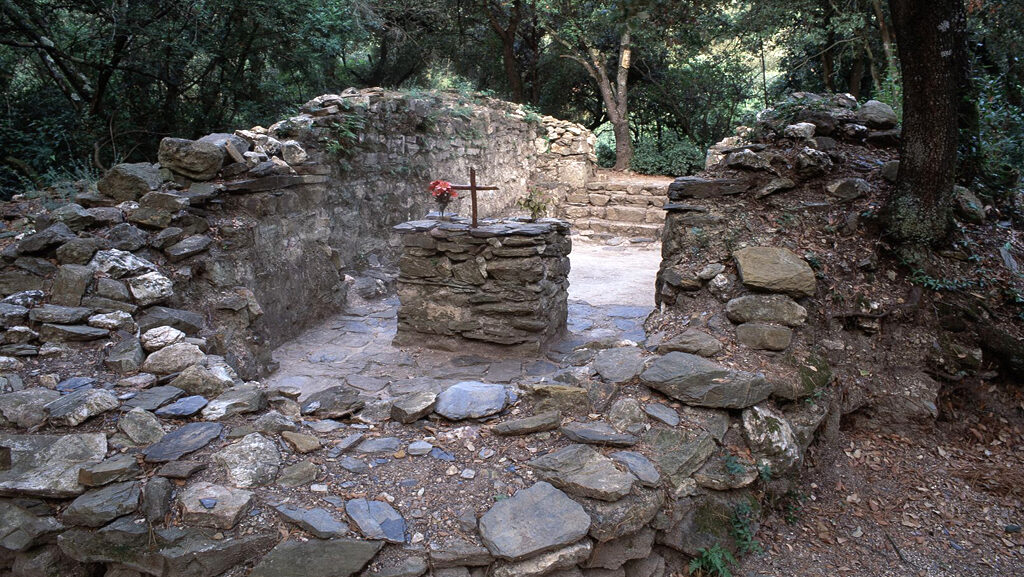 Descobreix aquesta ruta per Collserola: curta, fàcil i amb molta ombra