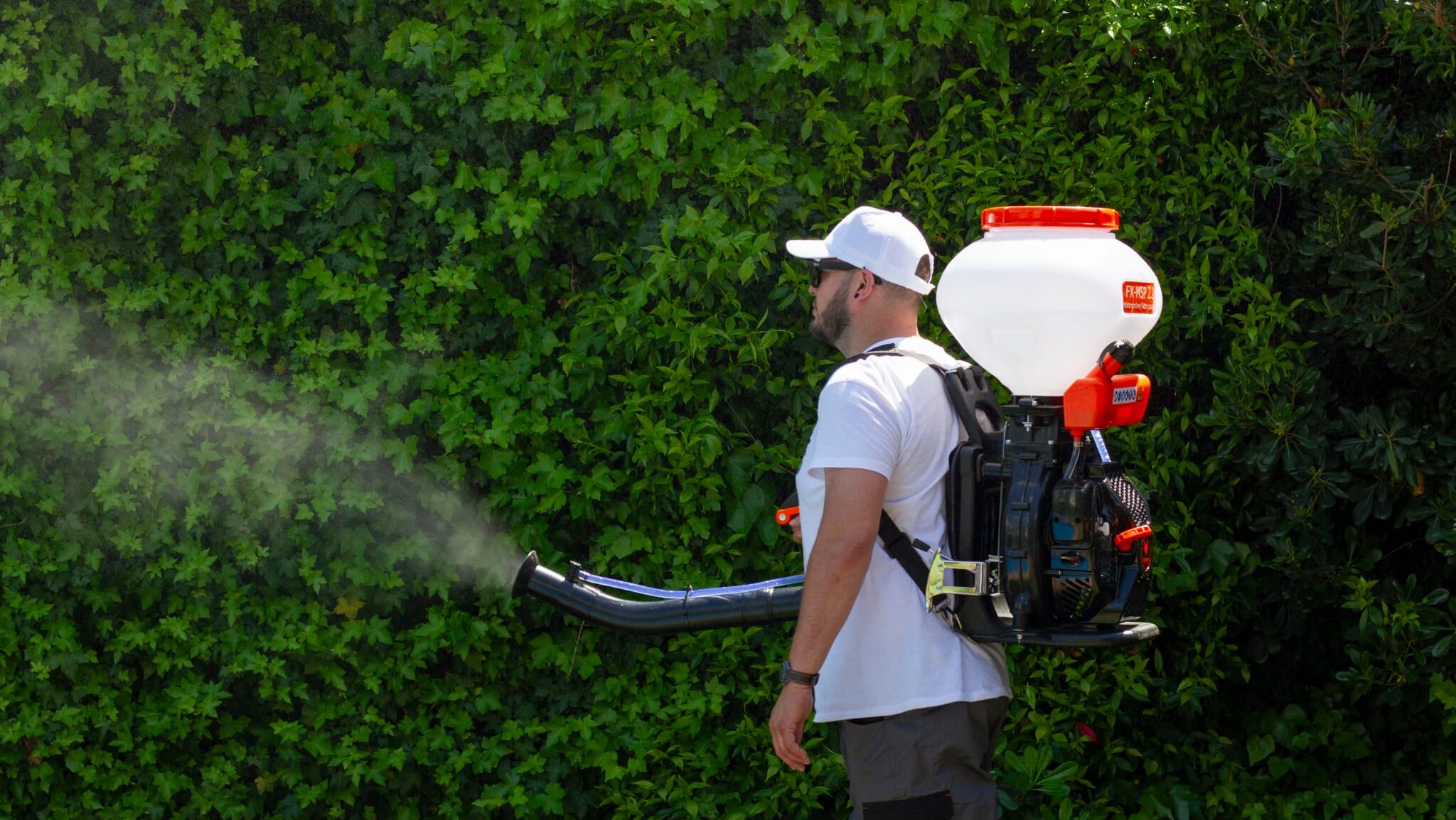 Cazadores de Mosquitos: l’empresa de Sant Cugat que planta cara als mosquits amb solucions ecològiques