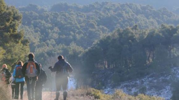 Jaume Torres: 'Els nostres tallers vinculen creativitat i formació'