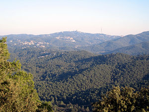 La urbanització de Sol i Aire serà un espai de regulació especial al Parc Natural de Collserola