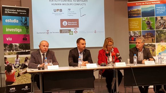 Sant Cugat se suma a un projecte pioner per controlar la fertilitat dels senglars