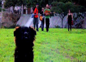 A Banda: 'El concert serà un espectacle visual'