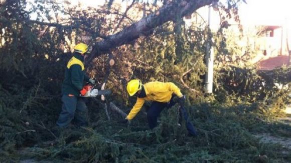 Activades les mesures de prevenció d'incendis forestals