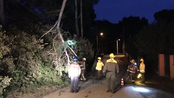 Bombers i ADF retiren una branca caiguda pel vent a la plaça del Centre de la Floresta