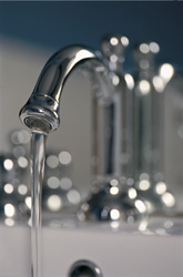 Alt: La protecció ambiental, prioritat per l'Ajuntament al 2007