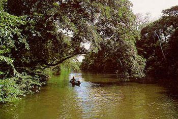 Alt: Secció de solidaritat a Cugat ràdio