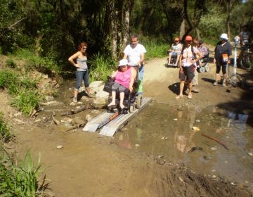 I aquest divendres al SAF...