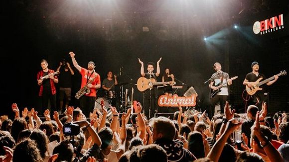 Coetus i Carles Dènia, Bruno Oro i Animal, més propostes musicals de la Festa Major 2017