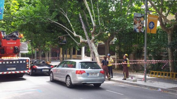 Els Bombers retiren un arbre de la rambla de Ribatallada pel xoc d'un camió