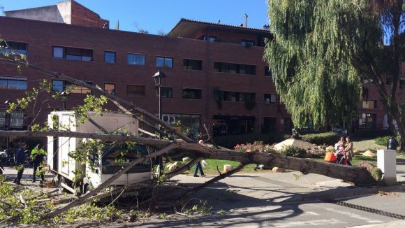 El pas del vent per Sant Cugat deixa diversos arbres caiguts