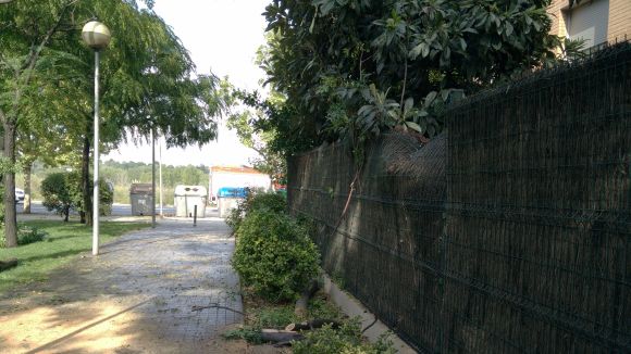 Cau un arbre per la pluja a l'avinguda de Roquetes i fa malbé la tanca d'una vivenda