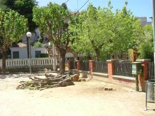 Alt: Substitueixen les moreres malaltes de la plaça de l'estació de la Floresta