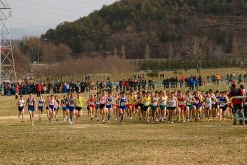 Dos podis santcugatencs