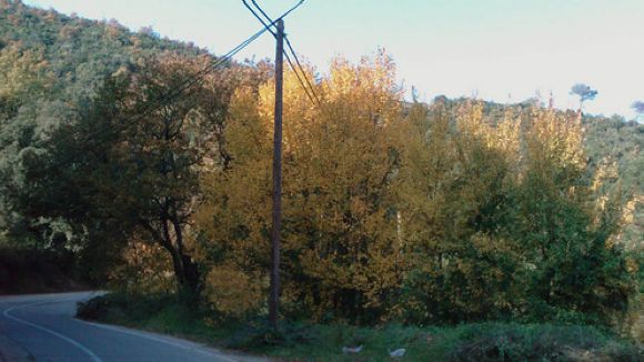 Les obres d'urbanització de Can Borrull començaran al juny