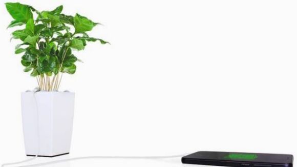 Carregar el mòbil amb una planta, a 'El Pou'