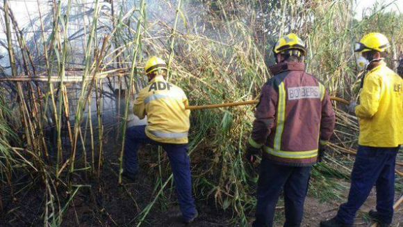Extingit un foc de matolls al camí de Can Bova, a la carretera de la Rabassada