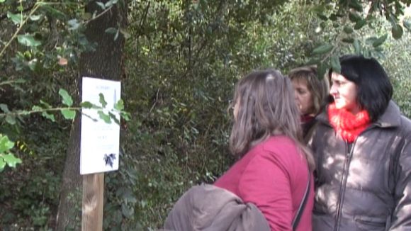 El Bosc Literari de la Serreta estarà dedicat als contes d'Elisenda Queralt