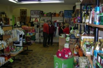 Alt: Entrevista: Ton Marimon, coordinador d'IO