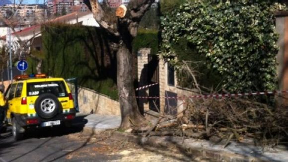 Els Bombers i l'ADF intensifiquen les tasques de vigilància pel fort vent