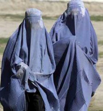 I aquest dimarts al magazín...