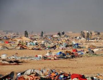 I aquest divendres al magazín...