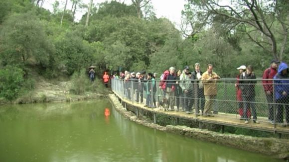 L'Ajuntament preveu buidar el pantà de Can Borrell per dragar fangs i eliminar les espècies invasores
