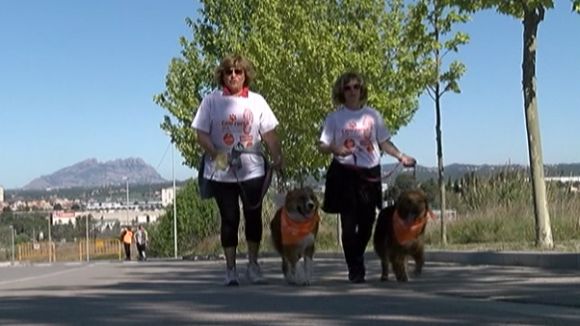 La 2a edició de la Cani Cursa ha reunit 120 participants al parc de Can Mates