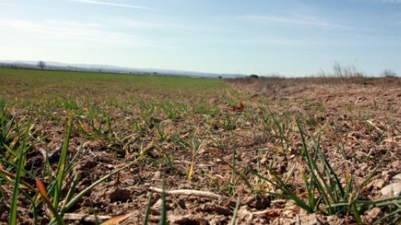 Sant Cugat fa un pas endavant en la lluita contra el canvi climàtic